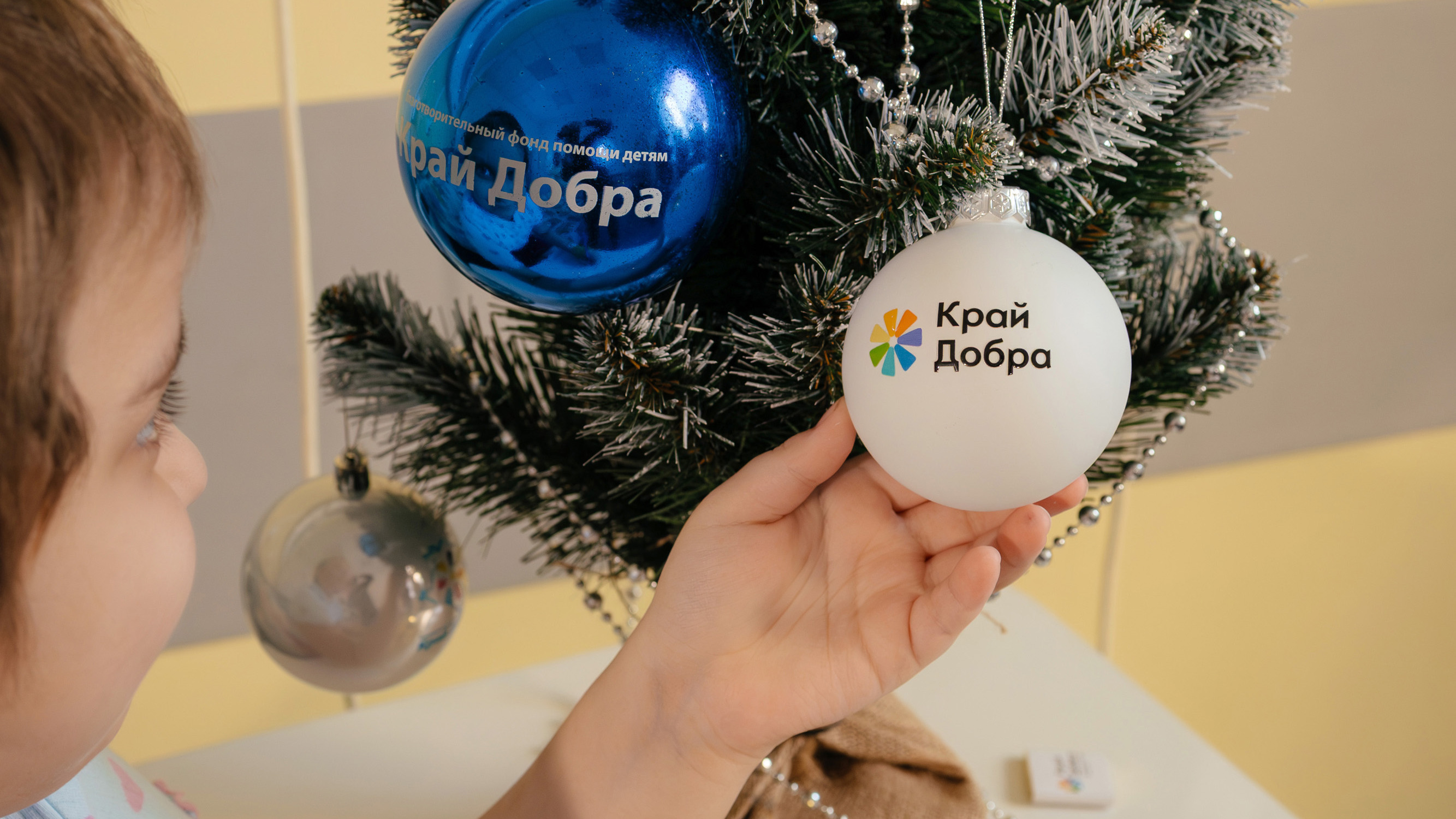 В Краснодарском крае стартует  благотворительная акция «Доброелка»