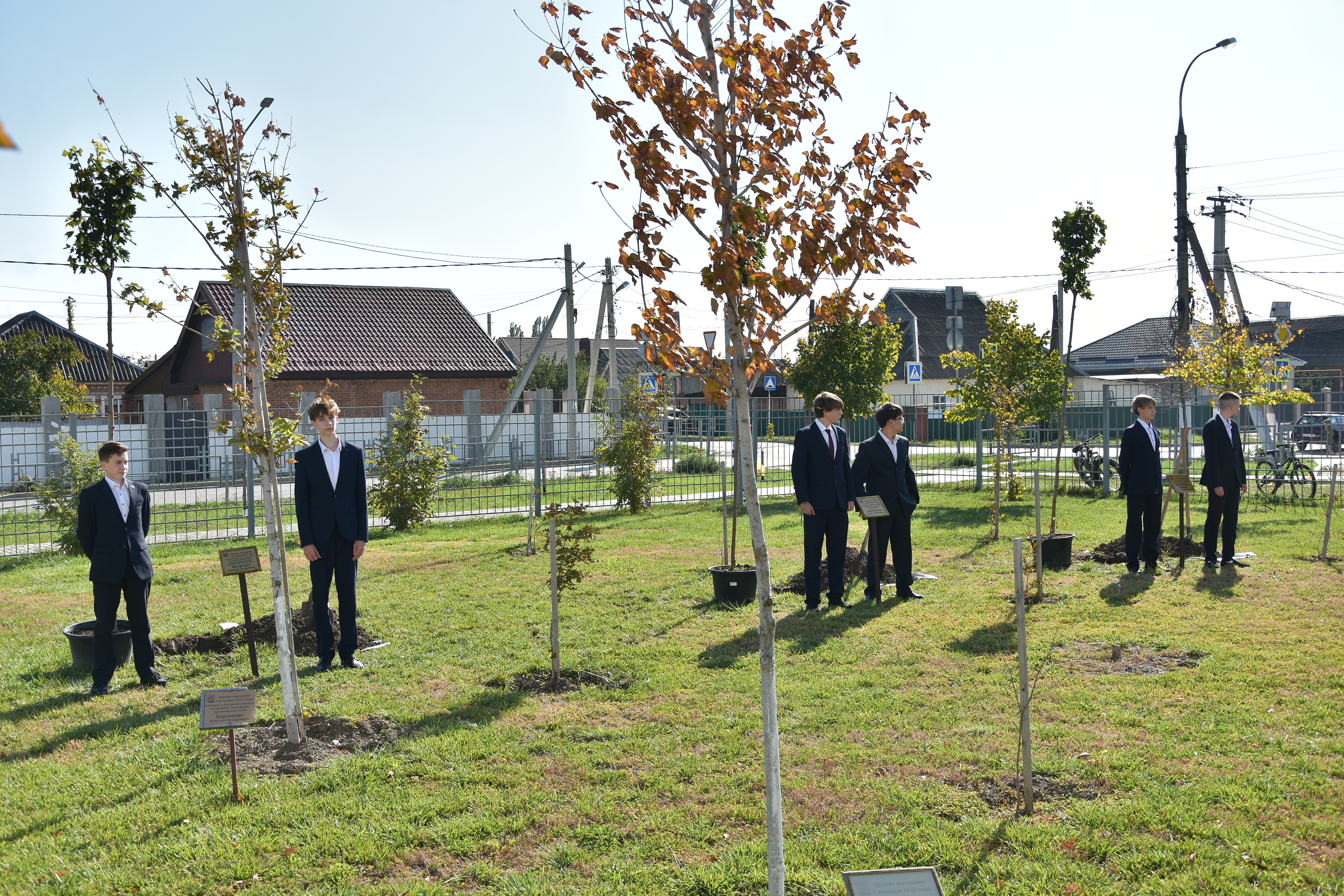 Высадка деревьев в Аллее Учительской Славы
