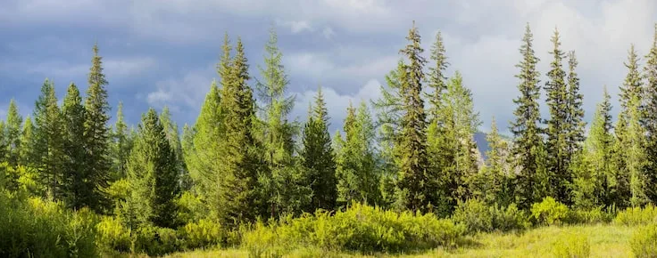 Сведения о способах получения консультации по вопросам организации муниципального контроля в области охраны и использования ООПТ местного значения в границах сельских поселений МО Славянский район