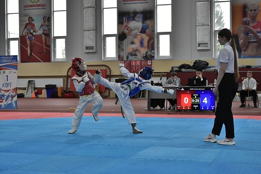 Краевые соревнования по тхэквондо стартовали в Славянске-на-Кубани