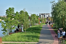 В городе начнётся обработка территорий от комаров и клещей