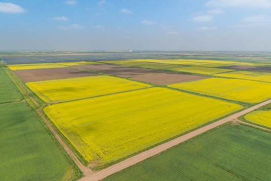 Рост производительности и эффективности благодаря господдержке