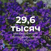 Славянск-на-Кубани становится благоустроеннее и уютнее