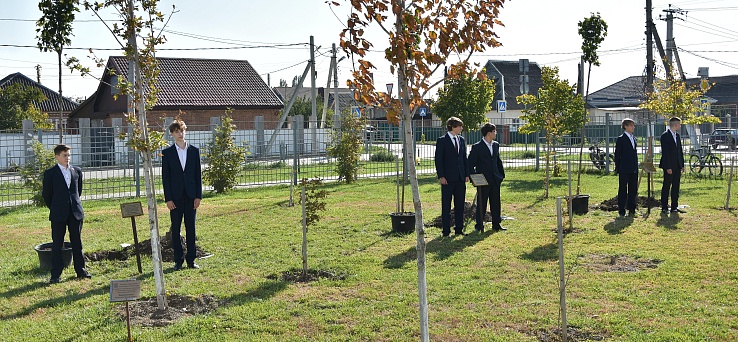 Высадка деревьев в Аллее Учительской Славы
